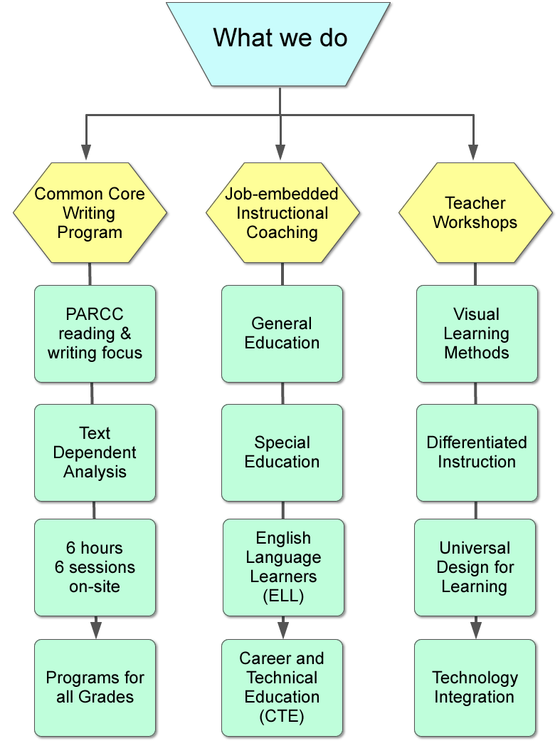 Flow chart of Visual Leap services
